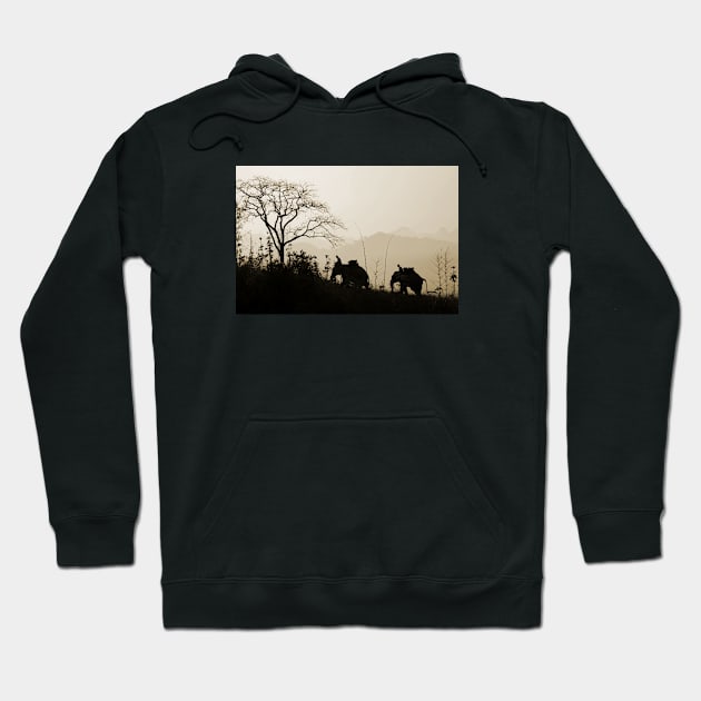 Asian Elephants Trekking In The Jungle Photograph Hoodie by VintCam